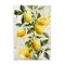 Stupell Industries Lemon Watercolor Splashes Wall Plaque Art Design by LSR Design Studio